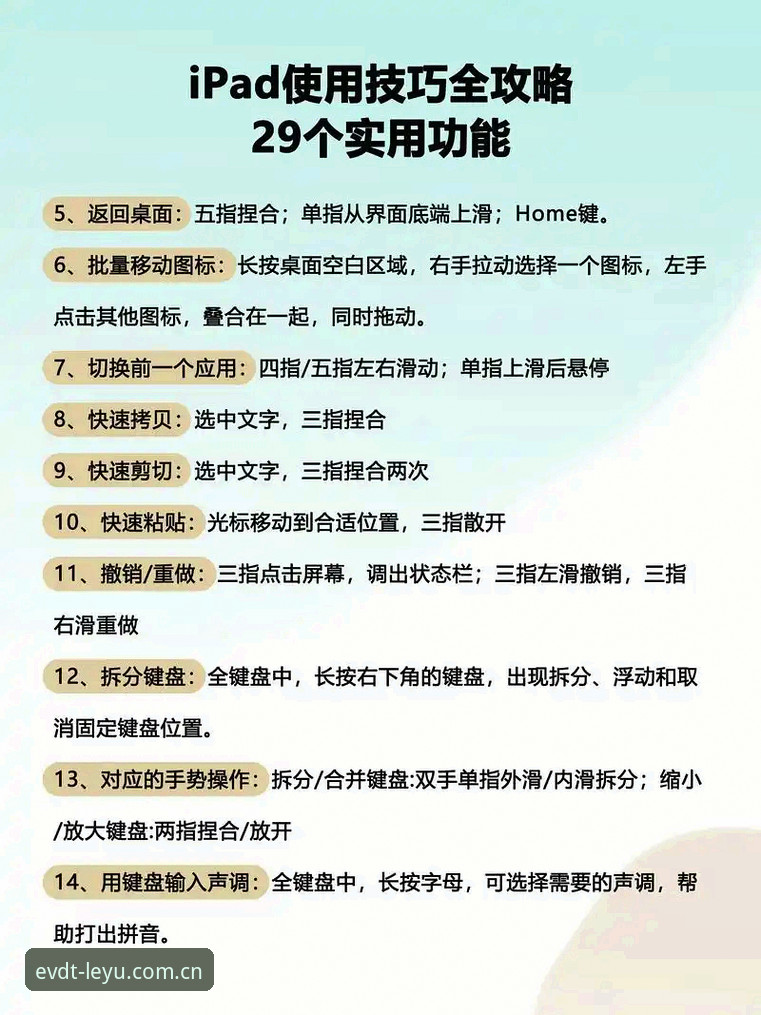 LEYU旧版兼容入口实用指南：从设备适配到数据对比的6个操作细节